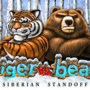 Tiger Vs Bear